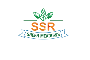 ssr removebg preview.png